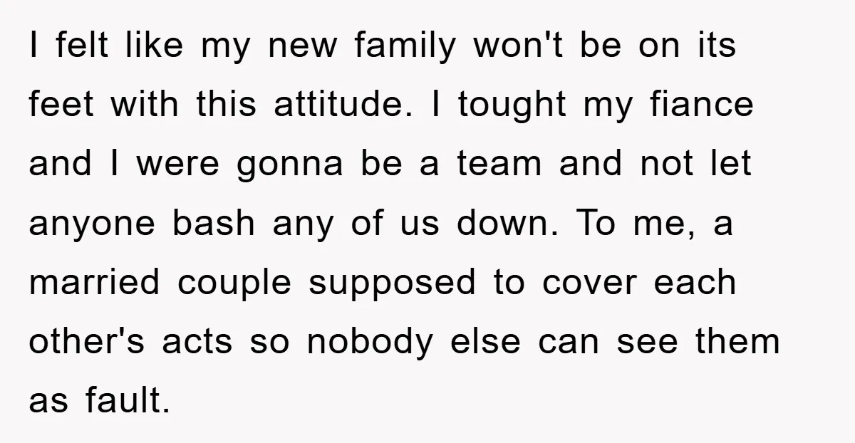 I felt like my new family won't be on its feet with this attitude. I tought my fiance and I were gonna be a team and not let anyone bash...