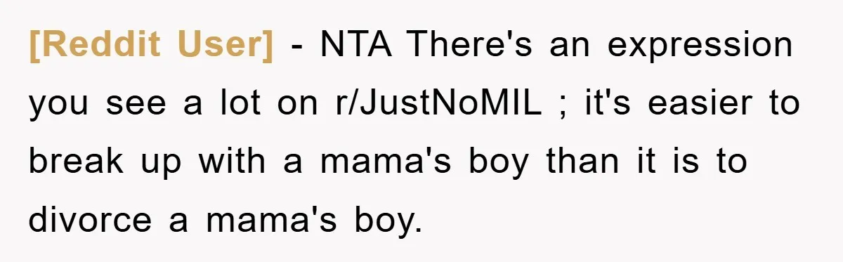 [Reddit User] − NTA There's an expression you see a lot on r/JustNoMIL ; it's easier to break up with a mama's boy than it is to divorce a mama's...