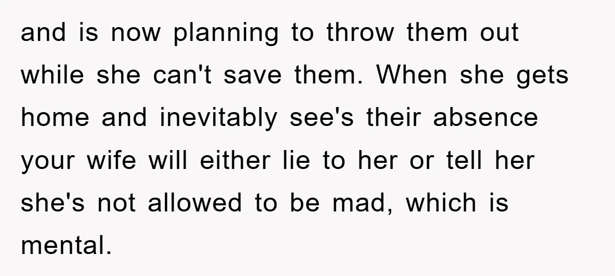 and is now planning to throw them out while she can't save them. When she gets home and inevitably see's their absence your wife will either lie to her or...