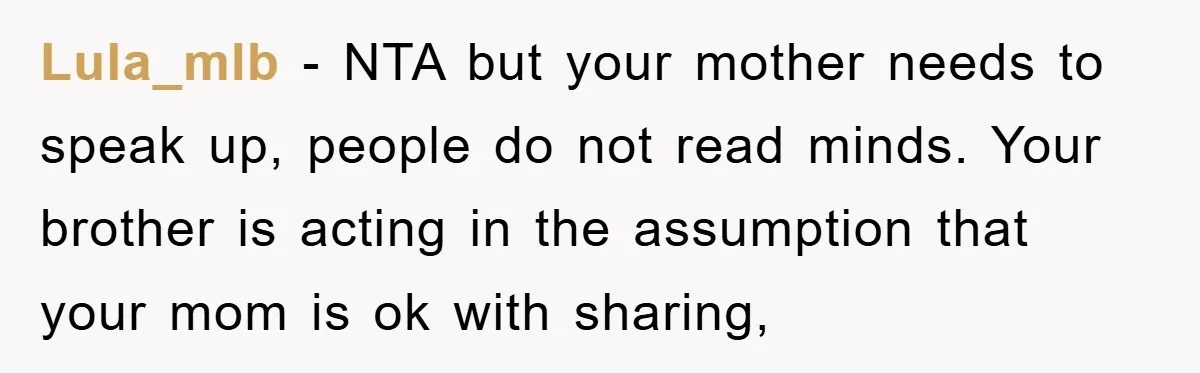 Lula_mlb − NTA but your mother needs to speak up, people do not read minds. Your brother is acting in the assumption that your mom is ok with sharing,