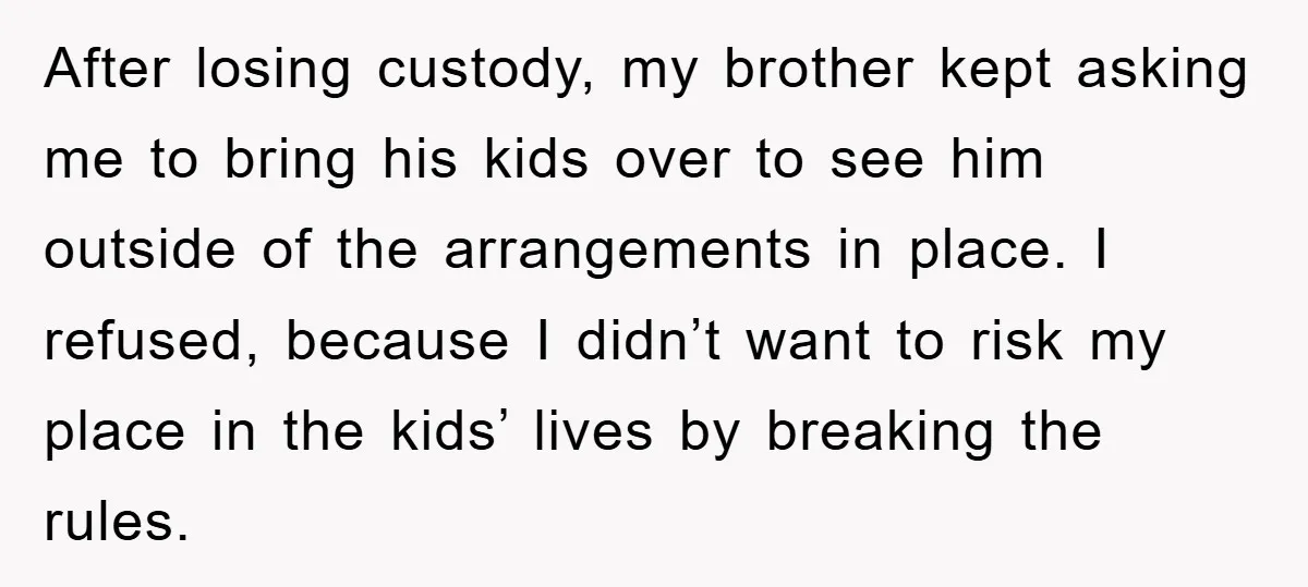 After losing custody, my brother kept asking me to bring his kids over to see him outside of the arrangements in place. I refused, because I didn’t want to risk...