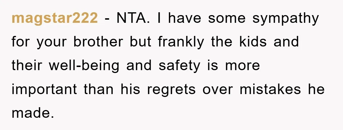 magstar222 - NTA. I have some sympathy for your brother but frankly the kids and their well-being and safety is more important than his regrets over mistakes he made.