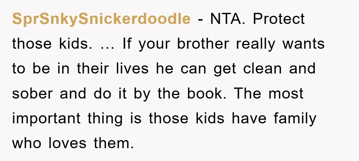 SprSnkySnickerdoodle - NTA. Protect those kids. … If your brother really wants to be in their lives he can get clean and sober and do it by the book. The...