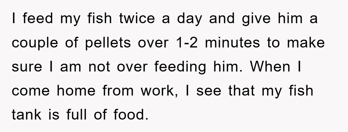 I feed my fish twice a day and give him a couple of pellets over 1-2 minutes to make sure I am not over feeding him. When I come home...