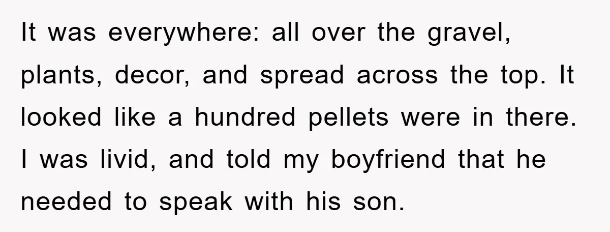 It was everywhere: all over the gravel, plants, decor, and spread across the top. It looked like a hundred pellets were in there. I was livid, and told my boyfriend...