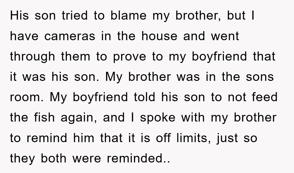 His son tried to blame my brother, but I have cameras in the house and went through them to prove to my boyfriend that it was his son. My brother...