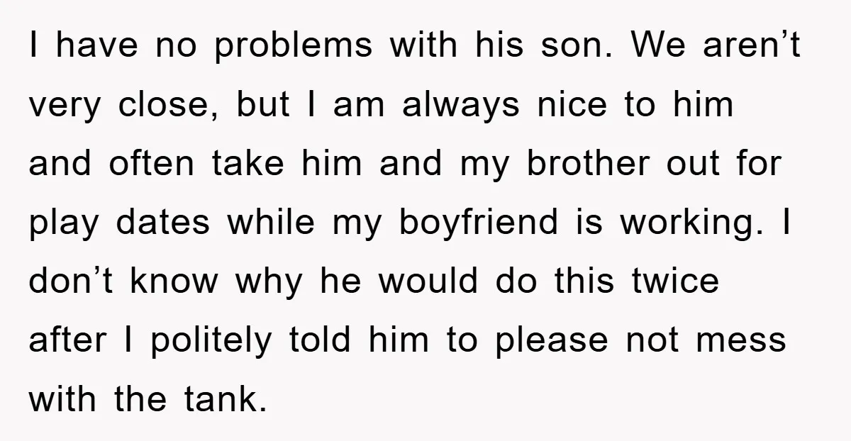 I have no problems with his son. We aren’t very close, but I am always nice to him and often take him and my brother out for play dates while...