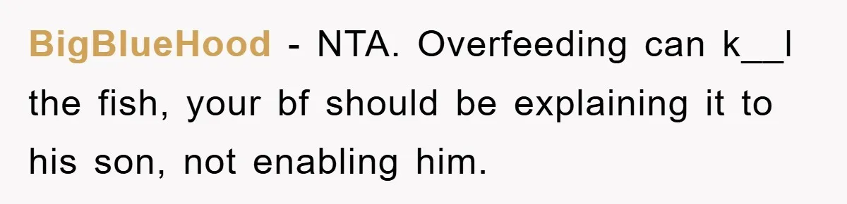 BigBlueHood − NTA. Overfeeding can k__l the fish, your bf should be explaining it to his son, not enabling him.