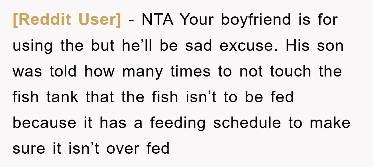 [Reddit User] − NTA Your boyfriend is for using the but he’ll be sad excuse. His son was told how many times to not touch the fish tank that the...