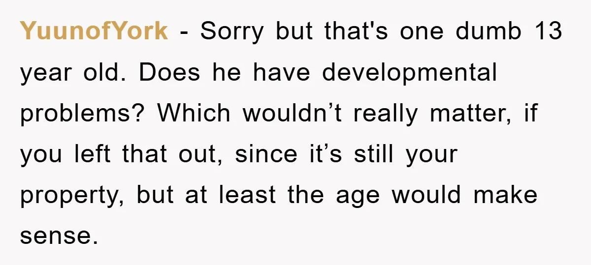 YuunofYork − Sorry but that's one dumb 13 year old. Does he have developmental problems? Which wouldn’t really matter, if you left that out, since it’s still your property, but...