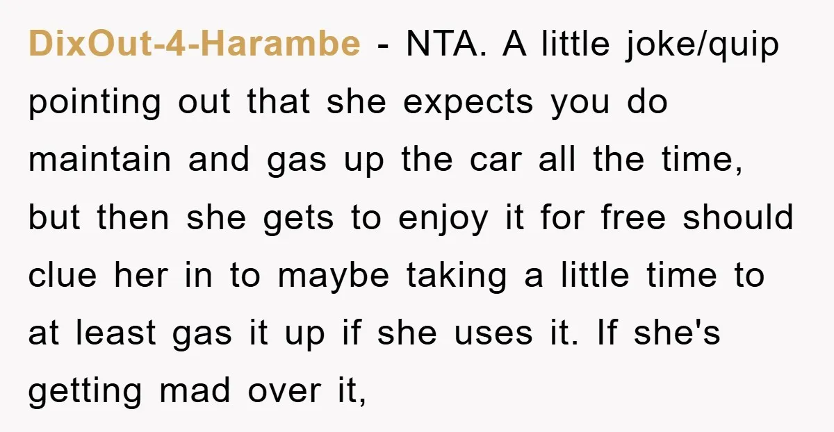 DixOut-4-Harambe − NTA. A little joke/quip pointing out that she expects you do maintain and gas up the car all the time, but then she gets to enjoy it for...