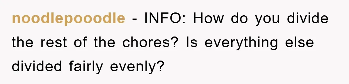 noodlepooodle − INFO: How do you divide the rest of the chores? Is everything else divided fairly evenly?
