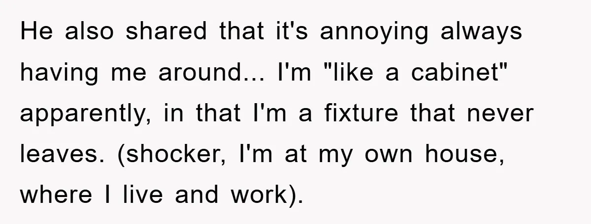 He also shared that it's annoying always having me around... I'm "like a cabinet" apparently, in that I'm a fixture that never leaves. (shocker, I'm at my own house, where...