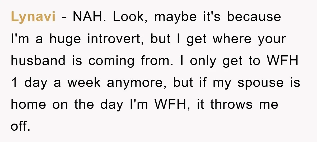 Lynavi − NAH. Look, maybe it's because I'm a huge introvert, but I get where your husband is coming from. I only get to WFH 1 day a week anymore,...