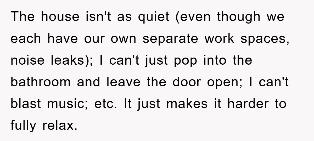 The house isn't as quiet (even though we each have our own separate work spaces, noise leaks); I can't just pop into the bathroom and leave the door open; I...