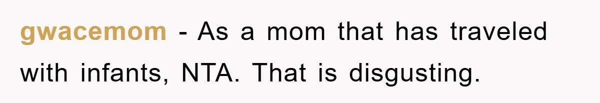 gwacemom − As a mom that has traveled with infants, NTA. That is disgusting.