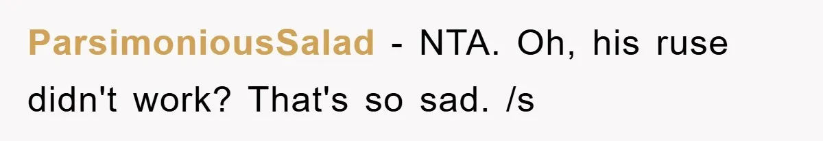 ParsimoniousSalad − NTA. Oh, his ruse didn't work? That's so sad. /s