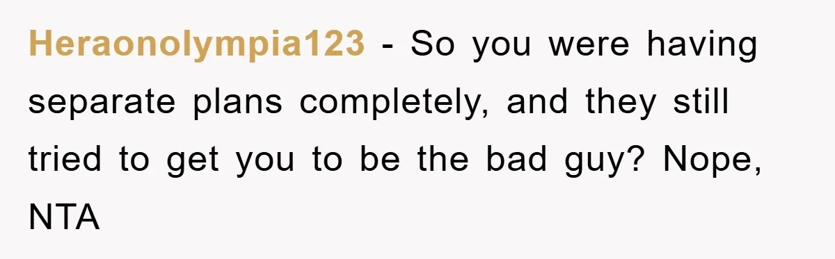 Heraonolympia123 − So you were having separate plans completely, and they still tried to get you to be the bad guy? Nope, NTA