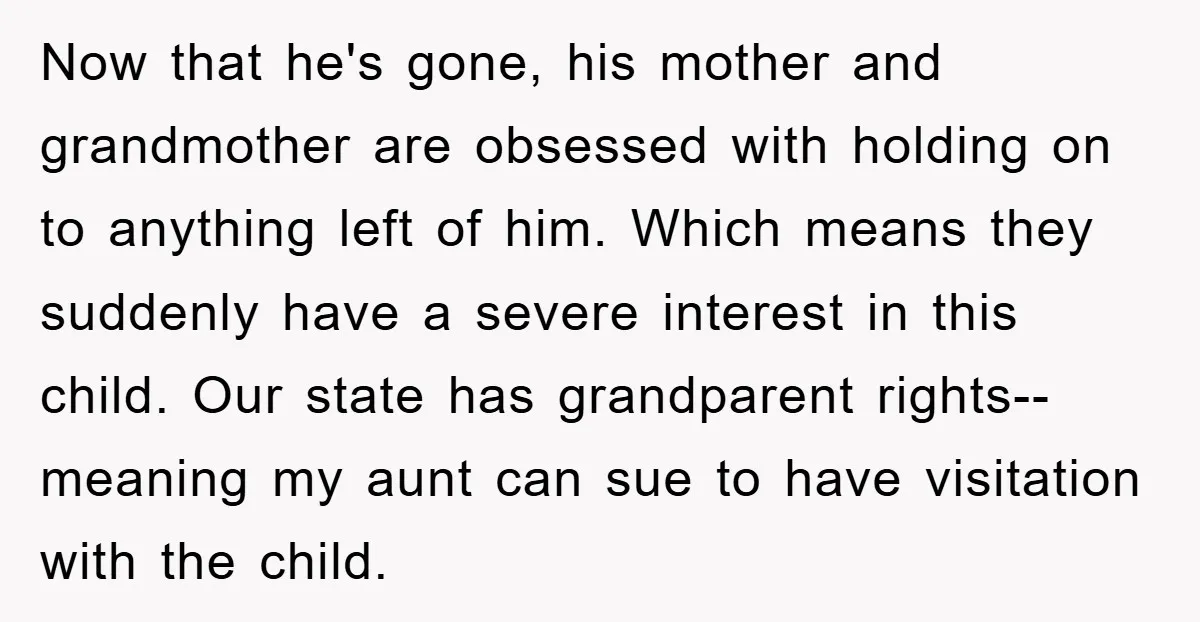 Now that he's gone, his mother and grandmother are obsessed with holding on to anything left of him. Which means they suddenly have a severe interest in this child. Our...