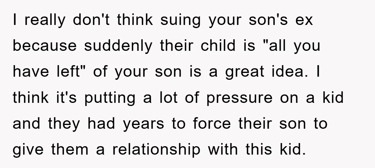 I really don't think suing your son's ex because suddenly their child is "all you have left" of your son is a great idea. I think it's putting a lot...