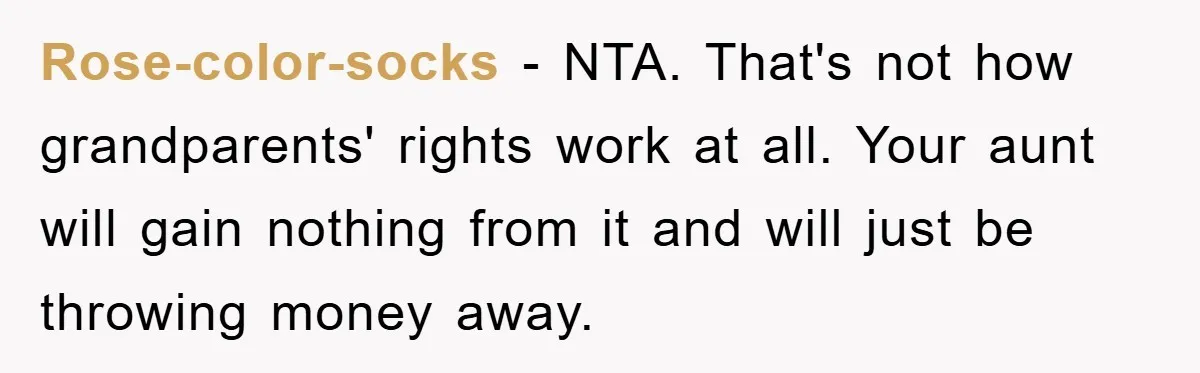 Rose-color-socks − NTA. That's not how grandparents' rights work at all. Your aunt will gain nothing from it and will just be throwing money away.