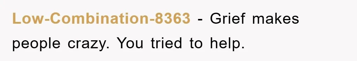 Low-Combination-8363 − Grief makes people crazy. You tried to help.