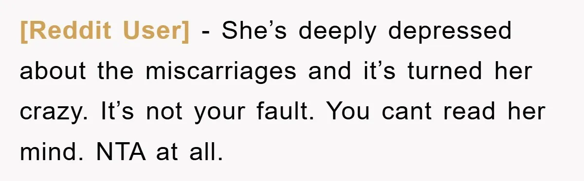 [Reddit User] − She’s deeply depressed about the miscarriages and it’s turned her crazy. It’s not your fault. You cant read her mind. NTA at all.