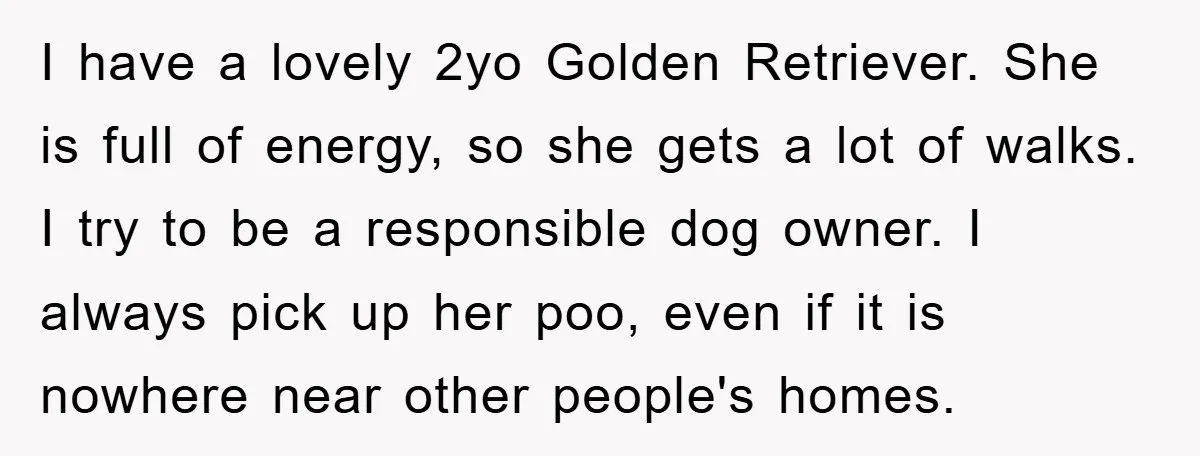 I have a lovely 2yo Golden Retriever. She is full of energy, so she gets a lot of walks. I try to be a responsible dog owner. I always pick...