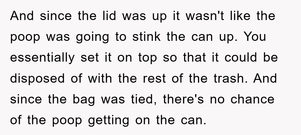 And since the lid was up it wasn't like the poop was going to stink the can up. You essentially set it on top so that it could be disposed...