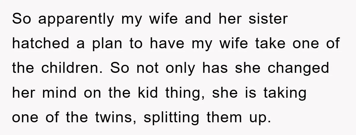 So apparently my wife and her sister hatched a plan to have my wife take one of the children. So not only has she changed her mind on the kid...
