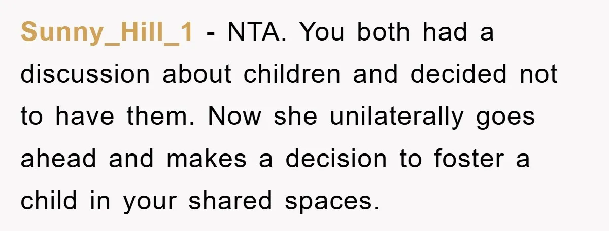 Sunny_Hill_1 − NTA. You both had a discussion about children and decided not to have them. Now she unilaterally goes ahead and makes a decision to foster a child in...