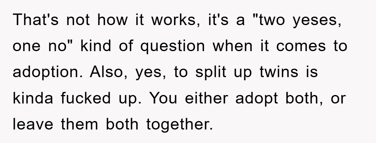 That's not how it works, it's a "two yeses, one no" kind of question when it comes to adoption. Also, yes, to split up twins is kinda fucked up. You...