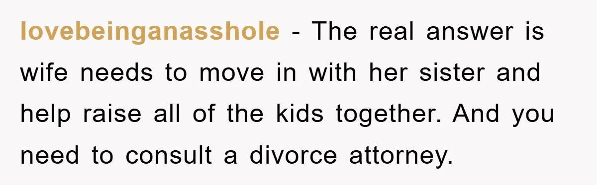 lovebeinganasshole − The real answer is wife needs to move in with her sister and help raise all of the kids together. And you need to consult a divorce attorney.