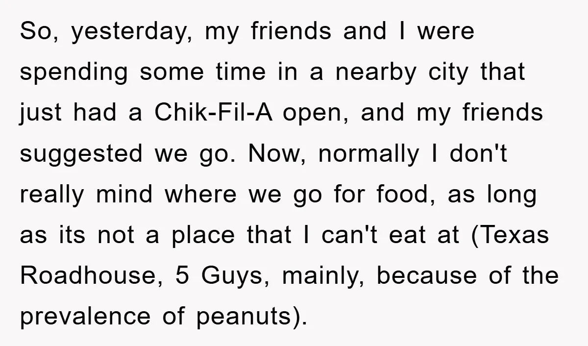 So, yesterday, my friends and I were spending some time in a nearby city that just had a Chik-Fil-A open, and my friends suggested we go. Now, normally I don't...