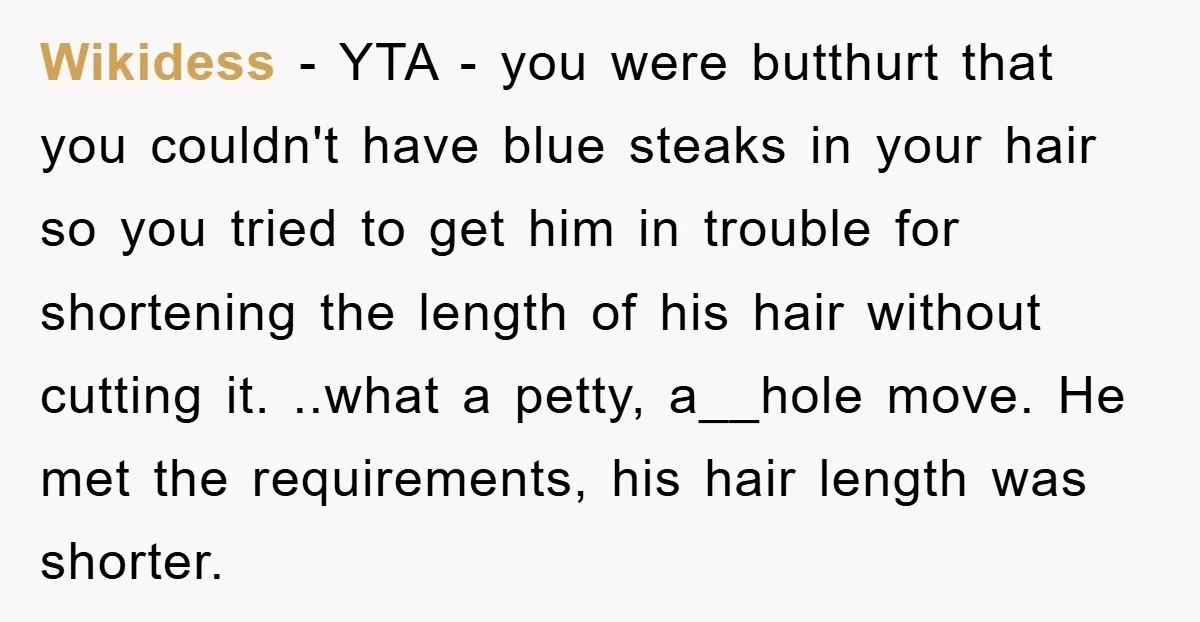 Wikidess − YTA - you were butthurt that you couldn't have blue steaks in your hair so you tried to get him in trouble for shortening the length of his...