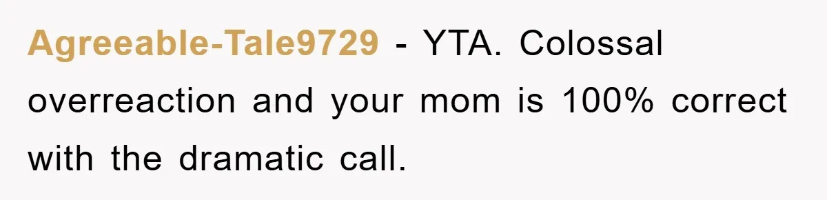 Agreeable-Tale9729 − YTA. Colossal overreaction and your mom is 100% correct with the dramatic call.