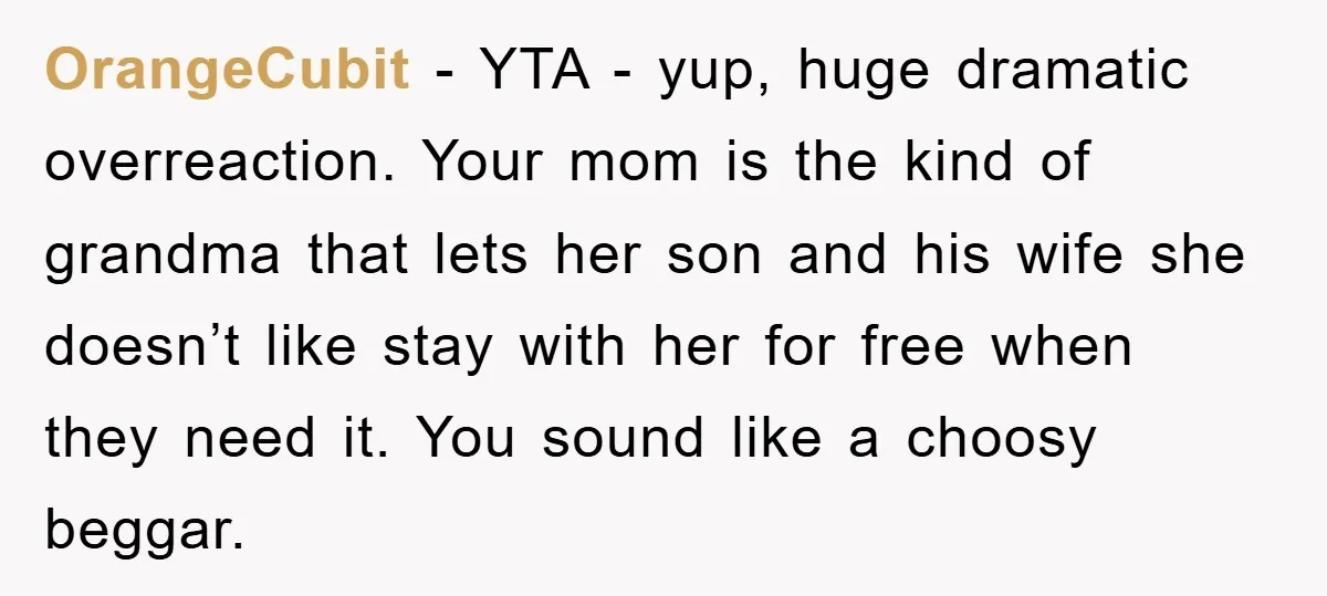 OrangeCubit − YTA - yup, huge dramatic overreaction. Your mom is the kind of grandma that lets her son and his wife she doesn’t like stay with her for free...