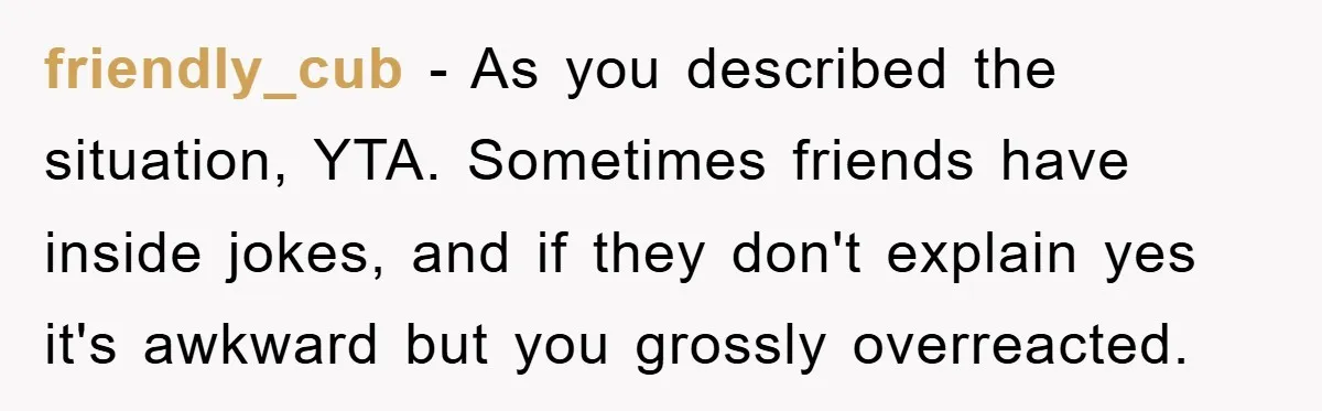 friendly_cub − As you described the situation, YTA. Sometimes friends have inside jokes, and if they don't explain yes it's awkward but you grossly overreacted.
