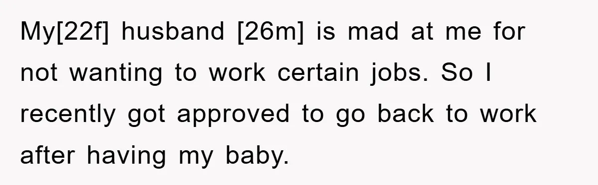 My[22f] husband [26m] is mad at me for not wanting to work certain jobs. So I recently got approved to go back to work after having my baby.