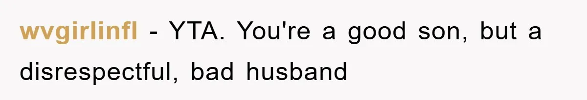 wvgirlinfl − YTA. You're a good son, but a disrespectful, bad husband