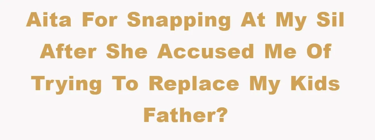 AITA for snapping at my SIL after she accused me of trying to replace my kids father?