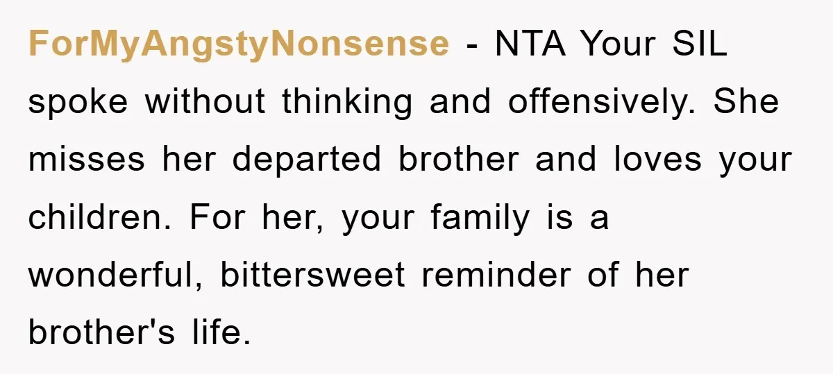 ForMyAngstyNonsense − NTA Your SIL spoke without thinking and offensively. She misses her departed brother and loves your children. For her, your family is a wonderful, bittersweet reminder of her...