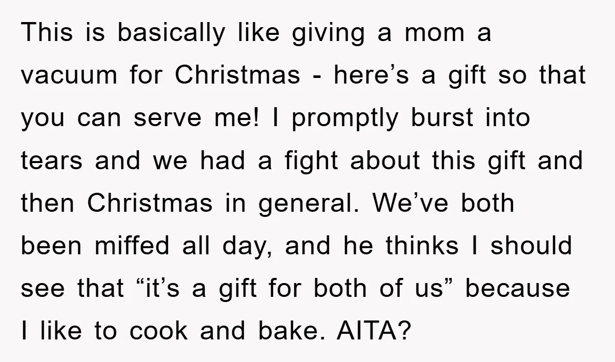 This is basically like giving a mom a vacuum for Christmas - here’s a gift so that you can serve me! I promptly burst into tears and we had a...
