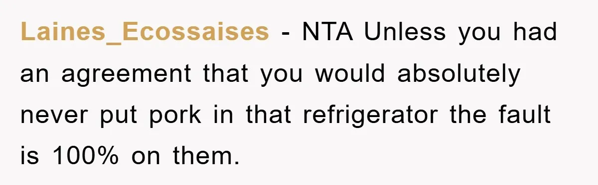Laines_Ecossaises − NTA Unless you had an agreement that you would absolutely never put pork in that refrigerator the fault is 100% on them.
