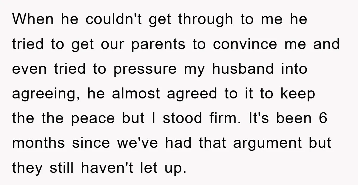 When he couldn't get through to me he tried to get our parents to convince me and even tried to pressure my husband into agreeing, he almost agreed to it...