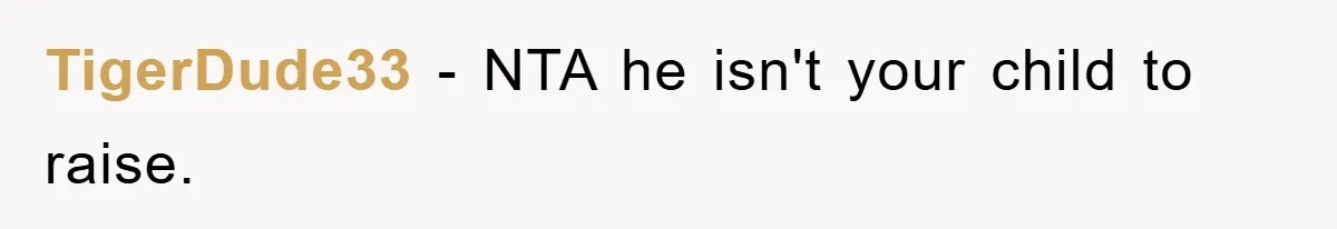 TigerDude33 − NTA he isn't your child to raise.