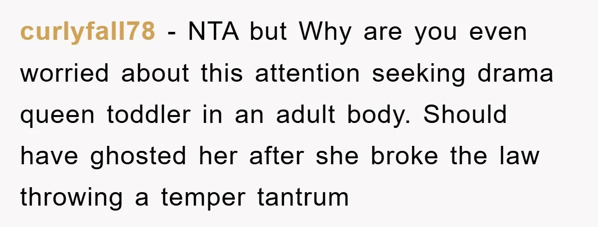 curlyfall78 − NTA but Why are you even worried about this attention seeking drama queen toddler in an adult body. Should have ghosted her after she broke the law throwing...