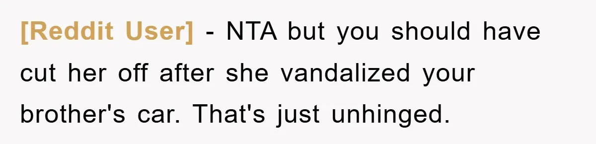 [Reddit User] − NTA but you should have cut her off after she vandalized your brother's car. That's just unhinged.