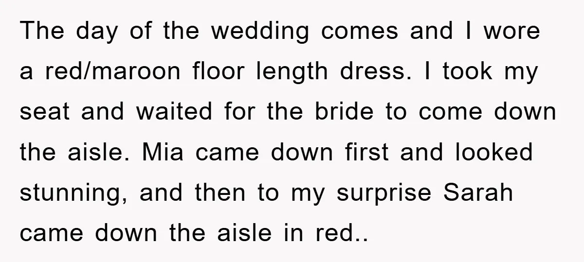 The day of the wedding comes and I wore a red/maroon floor length dress. I took my seat and waited for the bride to come down the aisle. Mia came...