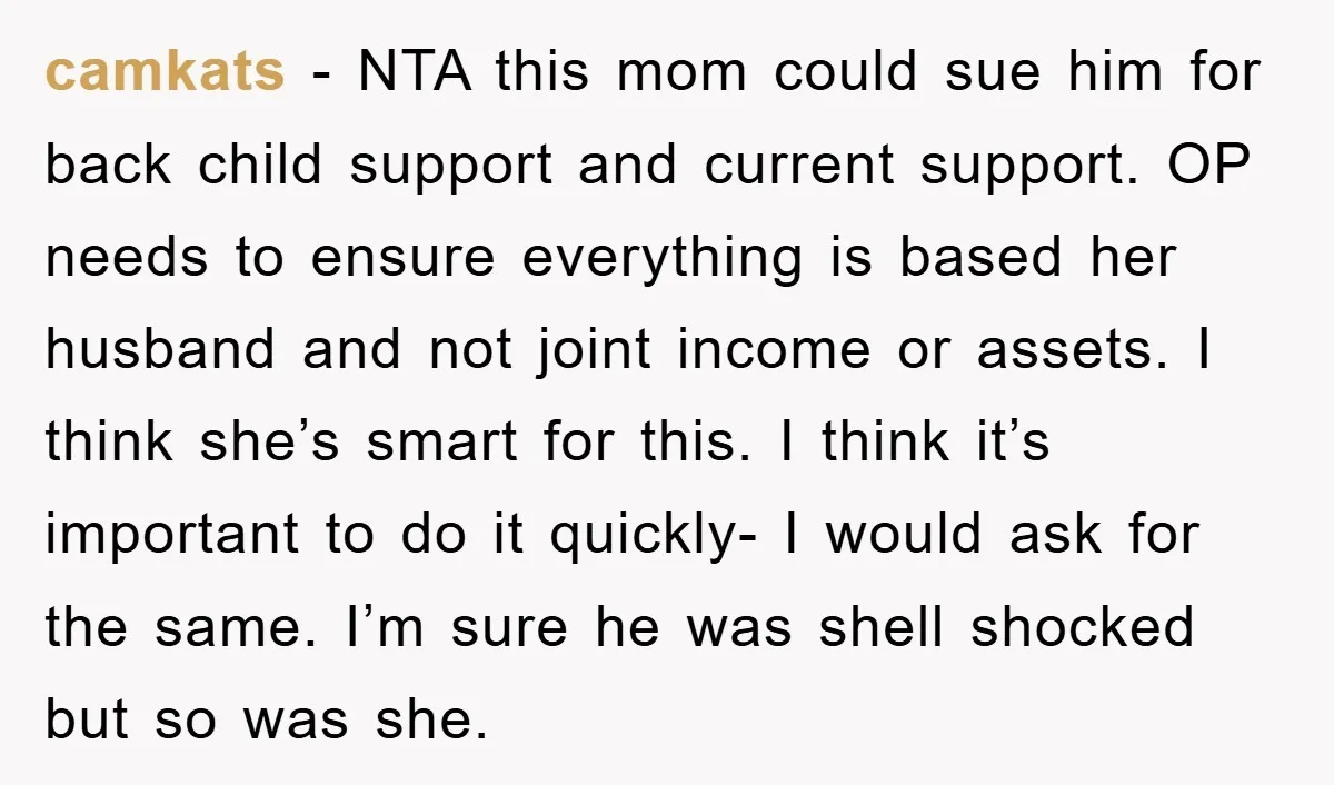 camkats − NTA this mom could sue him for back child support and current support. OP needs to ensure everything is based her husband and not joint income or assets....